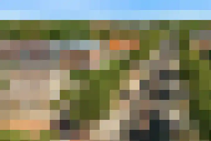 Rijksweg 95 Limmen thumbnail 31