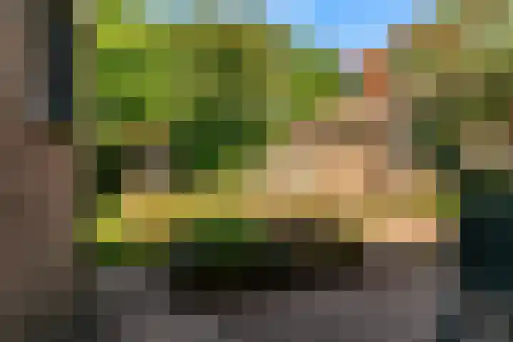 Rijksweg 95 Limmen thumbnail 32