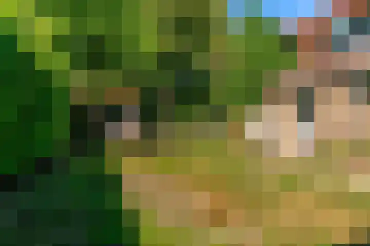 Rijksweg 95 Limmen thumbnail 34