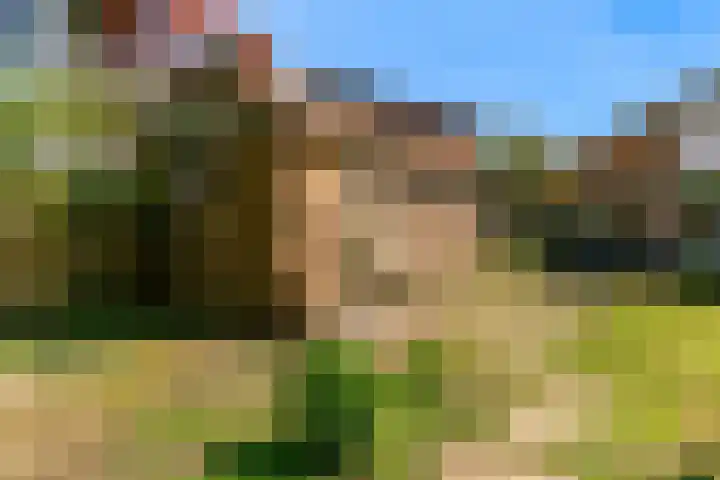 Rijksweg 95 Limmen thumbnail 35