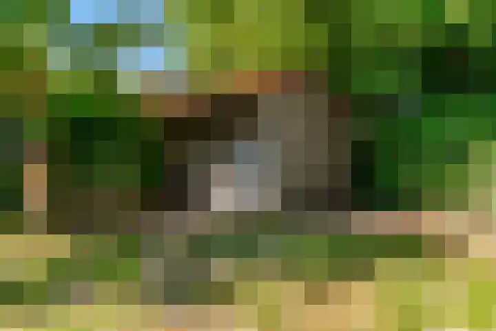 Rijksweg 95 Limmen thumbnail 36