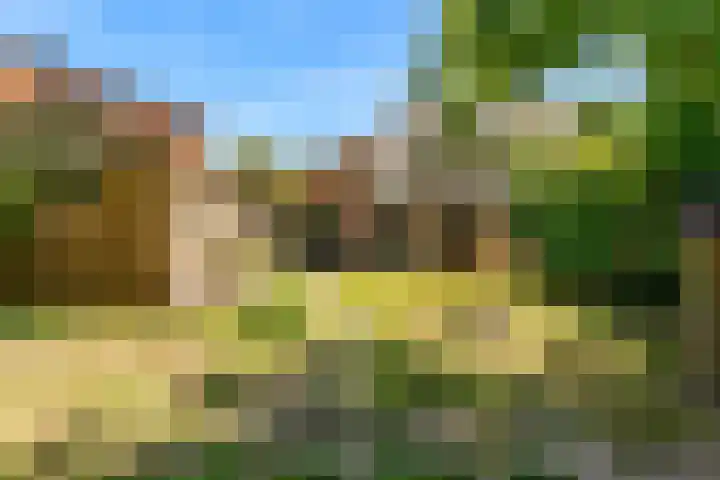 Rijksweg 95 Limmen thumbnail 37