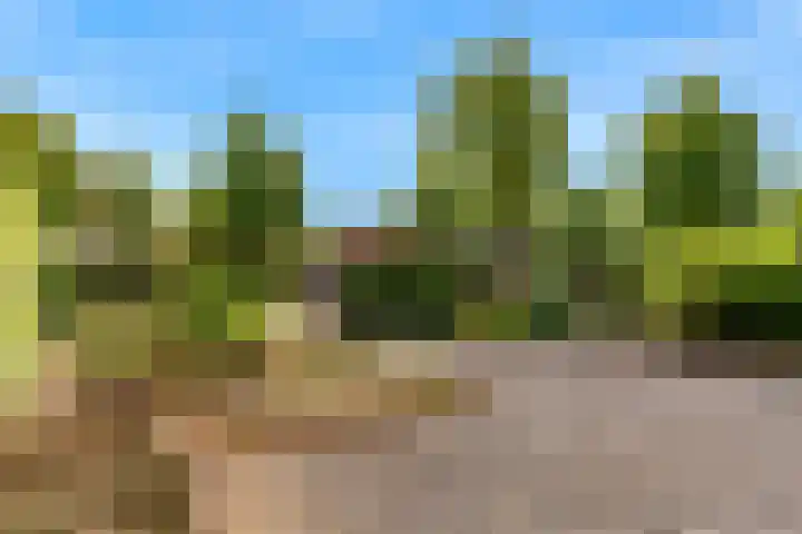 Rijksweg 95 Limmen thumbnail 39