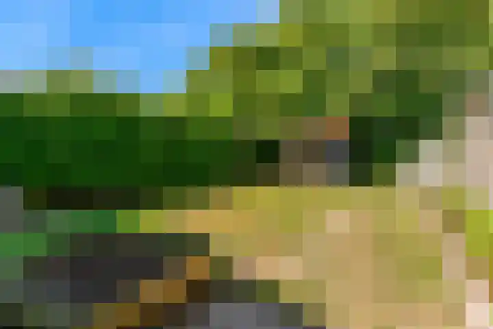 Rijksweg 95 Limmen thumbnail 4