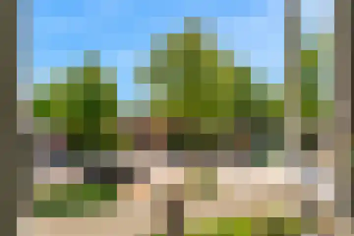 Rijksweg 95 Limmen thumbnail 40