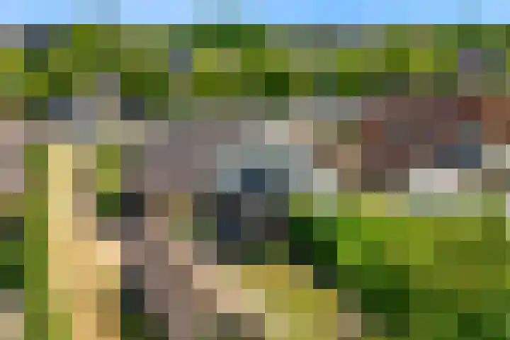 Rijksweg 95 Limmen thumbnail 42