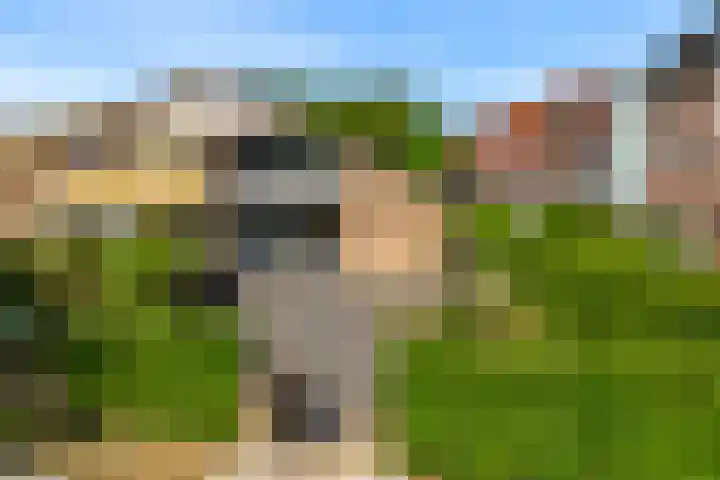 Rijksweg 95 Limmen thumbnail 44