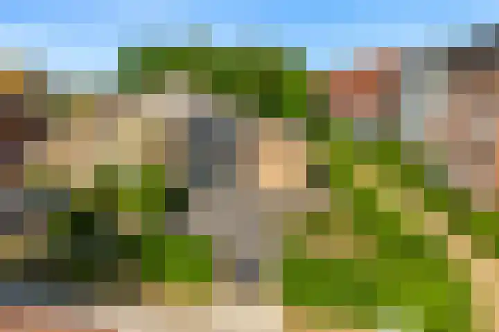 Rijksweg 95 Limmen thumbnail 45