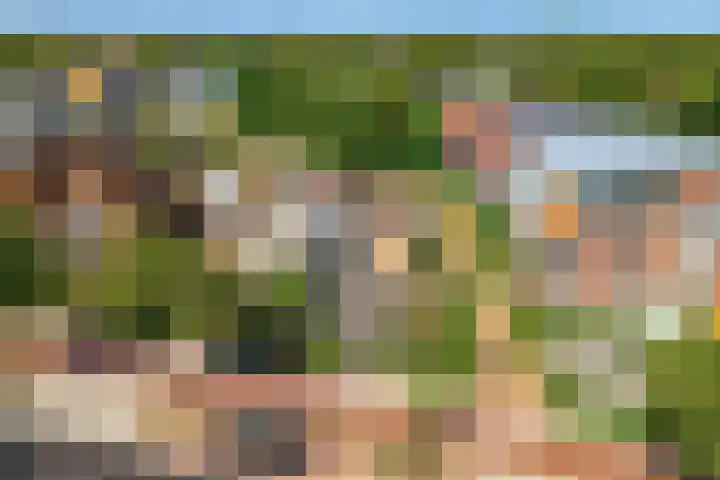 Rijksweg 95 Limmen thumbnail 46