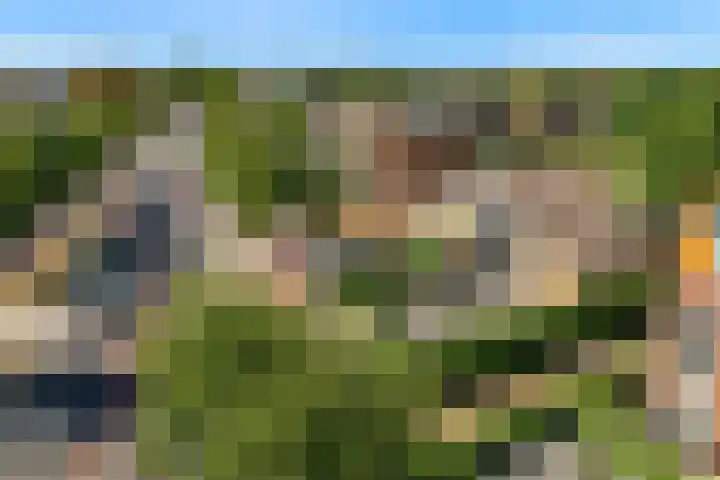 Rijksweg 95 Limmen thumbnail 47