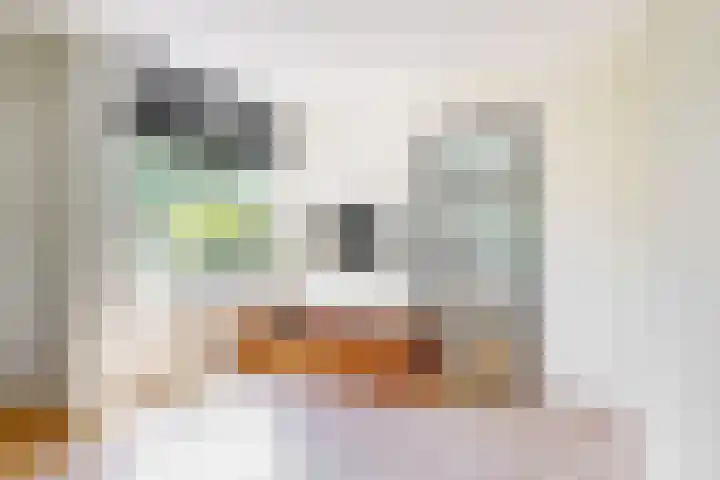 Rijksweg 95 Limmen thumbnail 7
