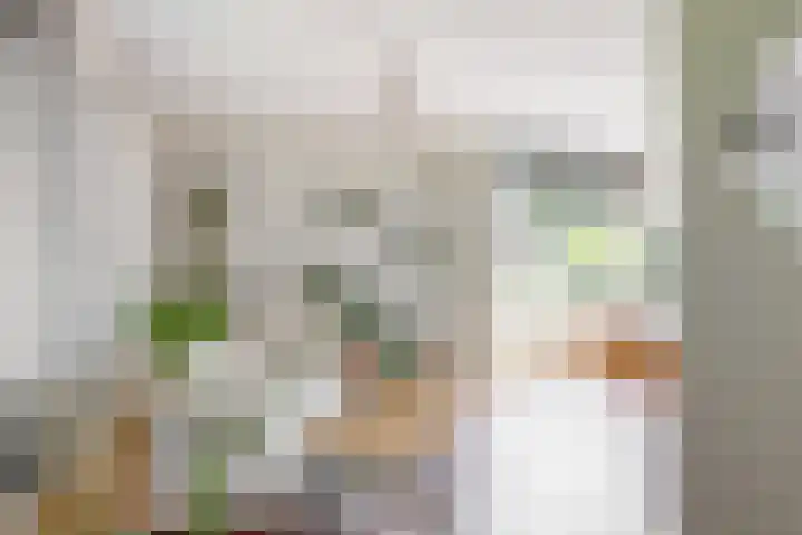 Rijksweg 95 Limmen thumbnail 9