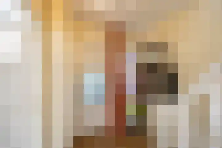 Rijksweg 96 Groningen thumbnail 11