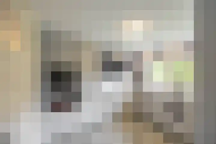 Rijksweg 96 Groningen thumbnail 22