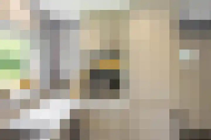 Rijksweg 96 Groningen thumbnail 24
