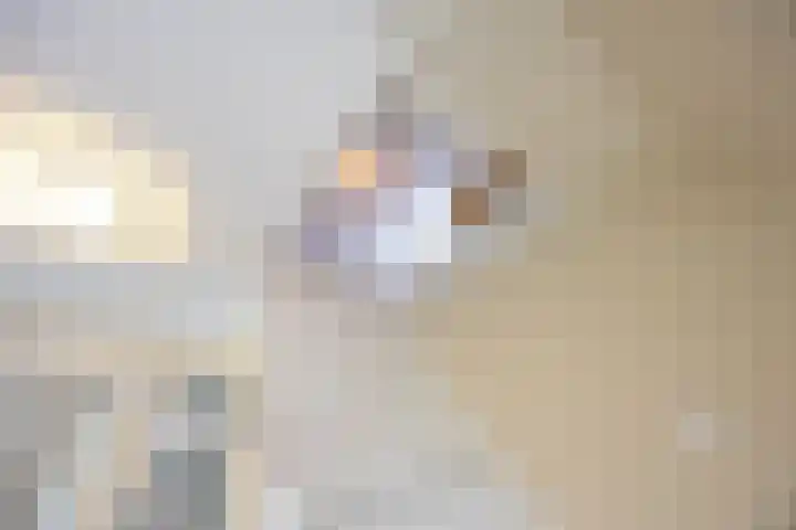 Rijksweg 96 Groningen thumbnail 38