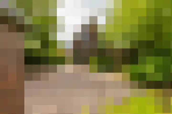 Rijksweg 96 Groningen thumbnail 41