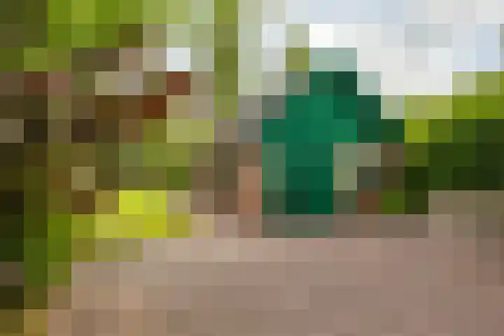 Rijksweg 96 Groningen thumbnail 44