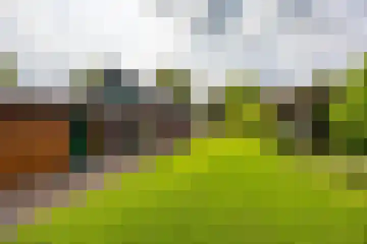 Rijksweg 96 Groningen thumbnail 45