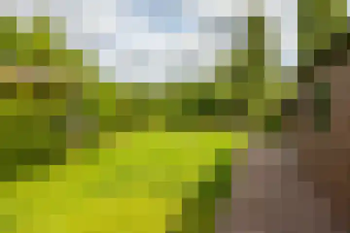 Rijksweg 96 Groningen thumbnail 46