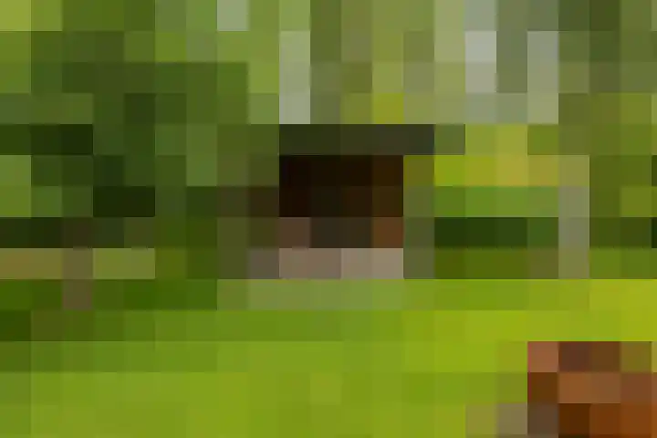 Rijksweg 96 Groningen thumbnail 47