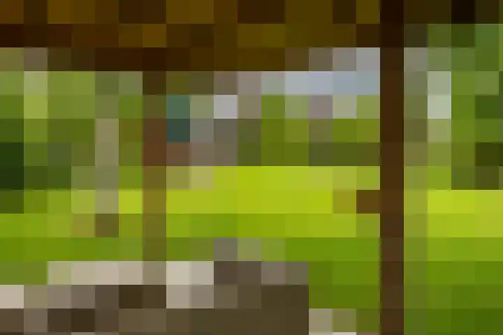 Rijksweg 96 Groningen thumbnail 48