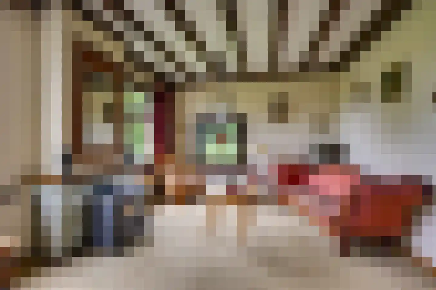 Rijksweg 96 Nieuwendijk thumbnail 11