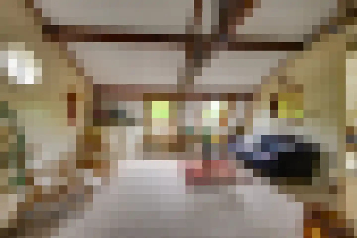 Rijksweg 96 Nieuwendijk thumbnail 39