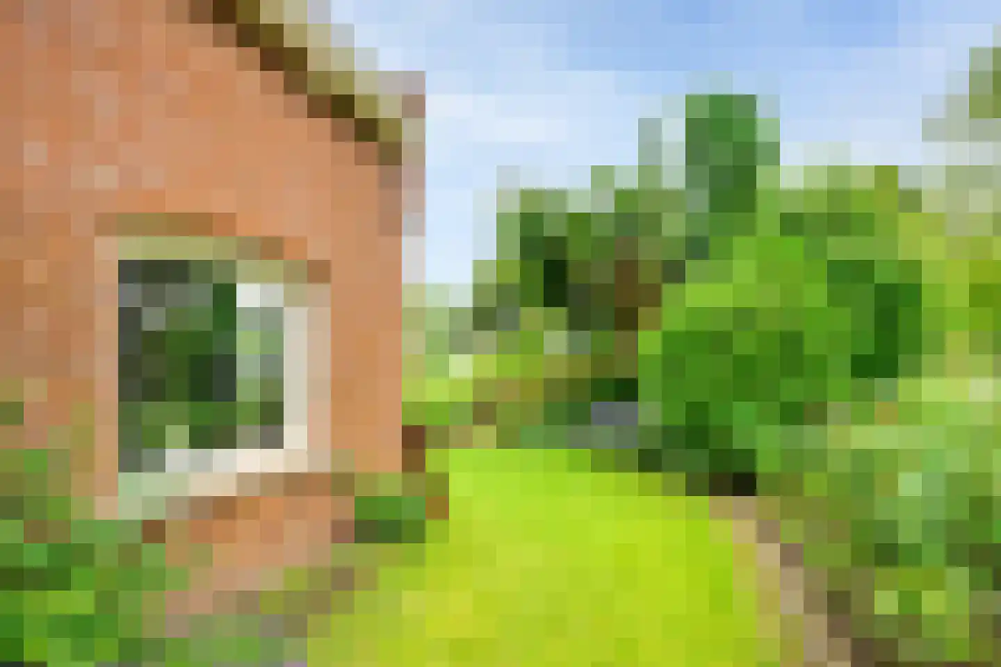 Rijksweg 96 Nieuwendijk thumbnail 43