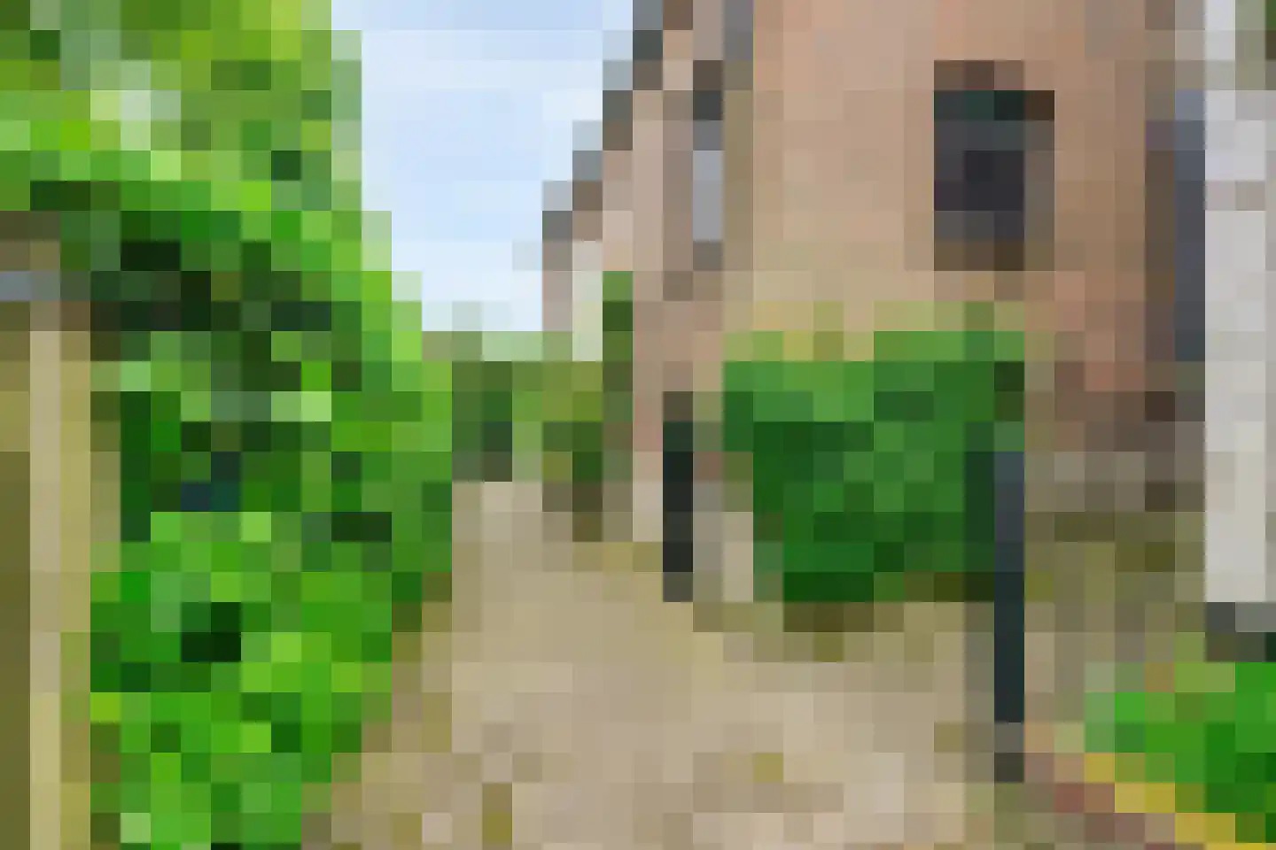 Rijksweg 96 Nieuwendijk thumbnail 44