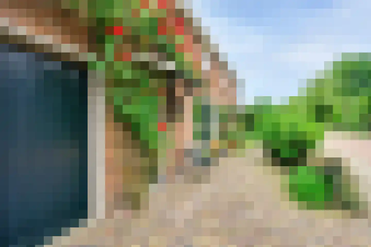 Rijksweg 96 Nieuwendijk thumbnail 5