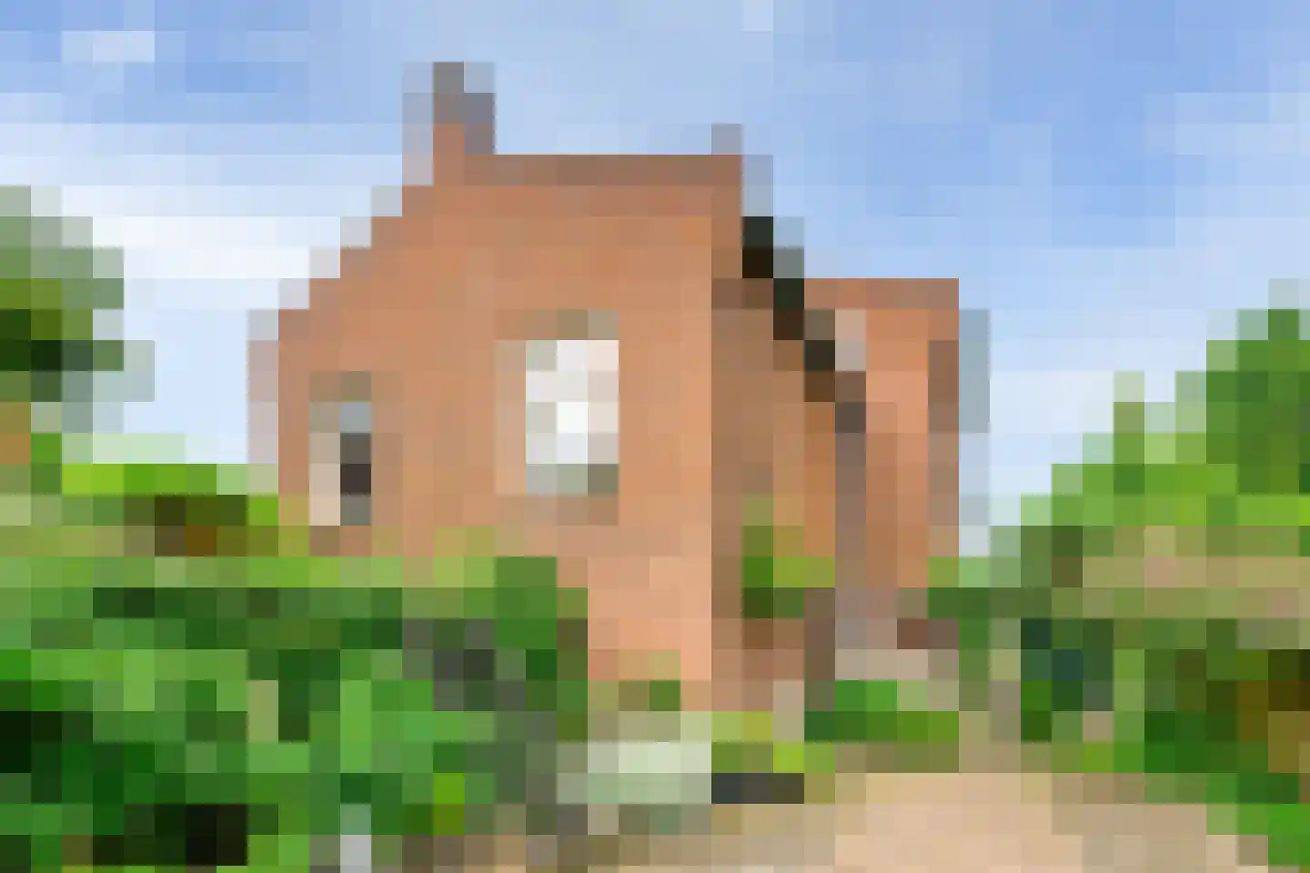 Rijksweg 96 Nieuwendijk thumbnail 50