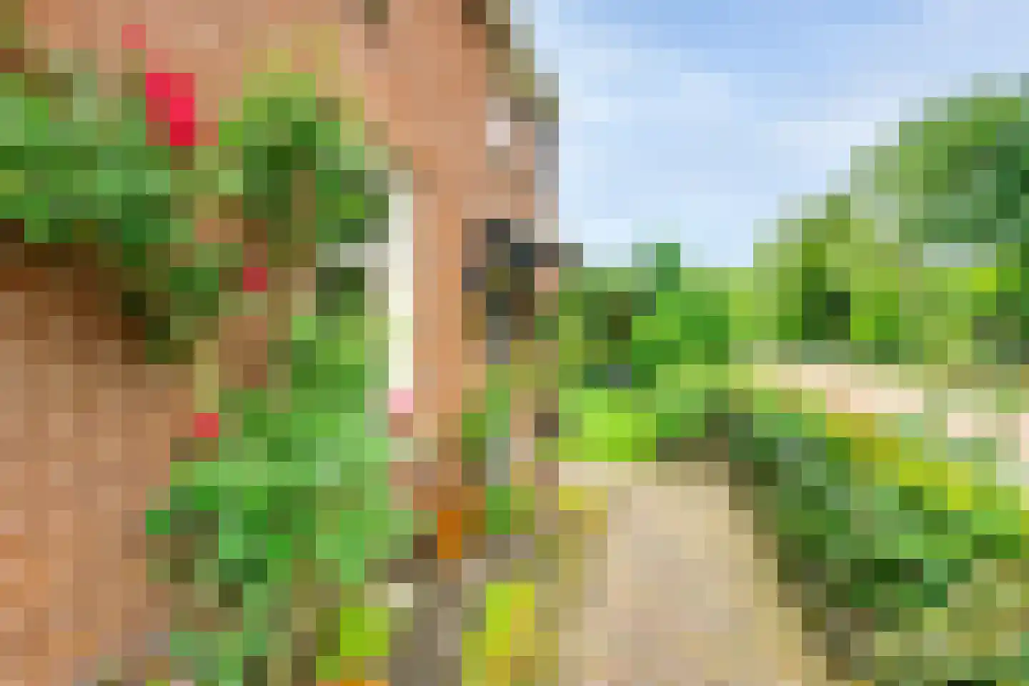 Rijksweg 96 Nieuwendijk thumbnail 6