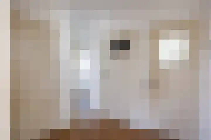 Rijksweg 97 B Delfzijl thumbnail 12