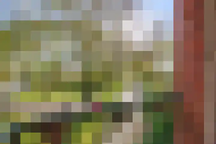 Rijksweg 97 B Delfzijl thumbnail 33