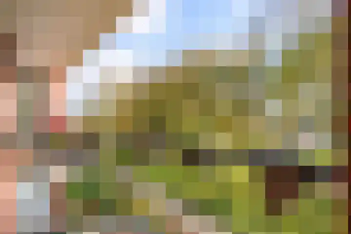 Rijksweg 97 B Delfzijl thumbnail 34