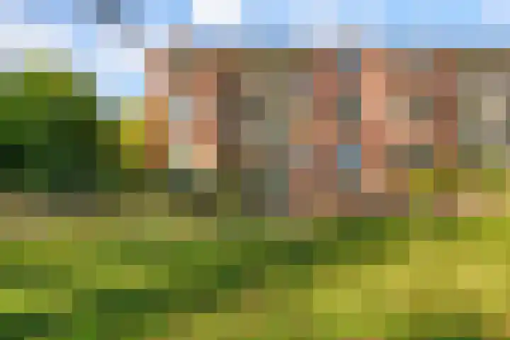 Rijksweg 97 B Delfzijl thumbnail 36