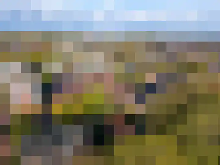 Rijksweg 97 B Delfzijl thumbnail 5