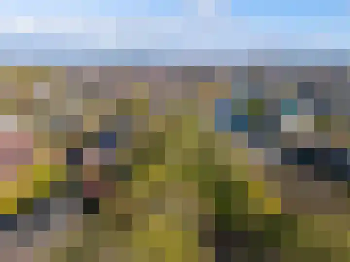 Rijksweg 97 B Delfzijl thumbnail 6