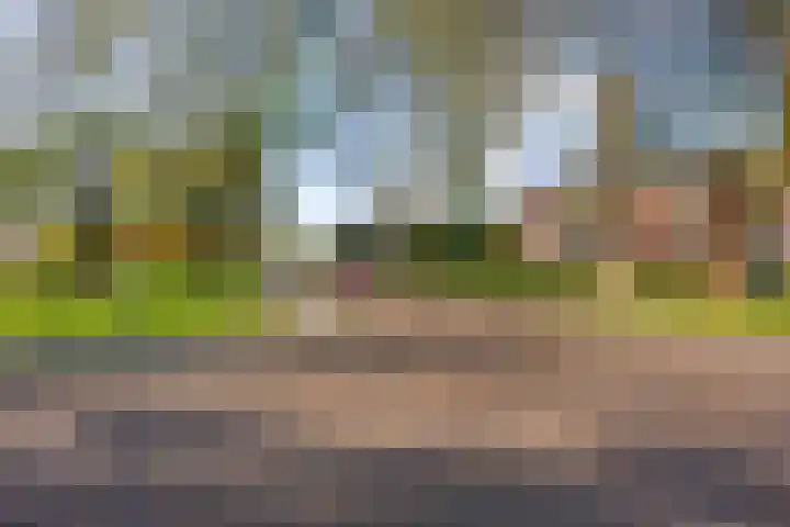 Rijksweg 97 B Delfzijl thumbnail 8