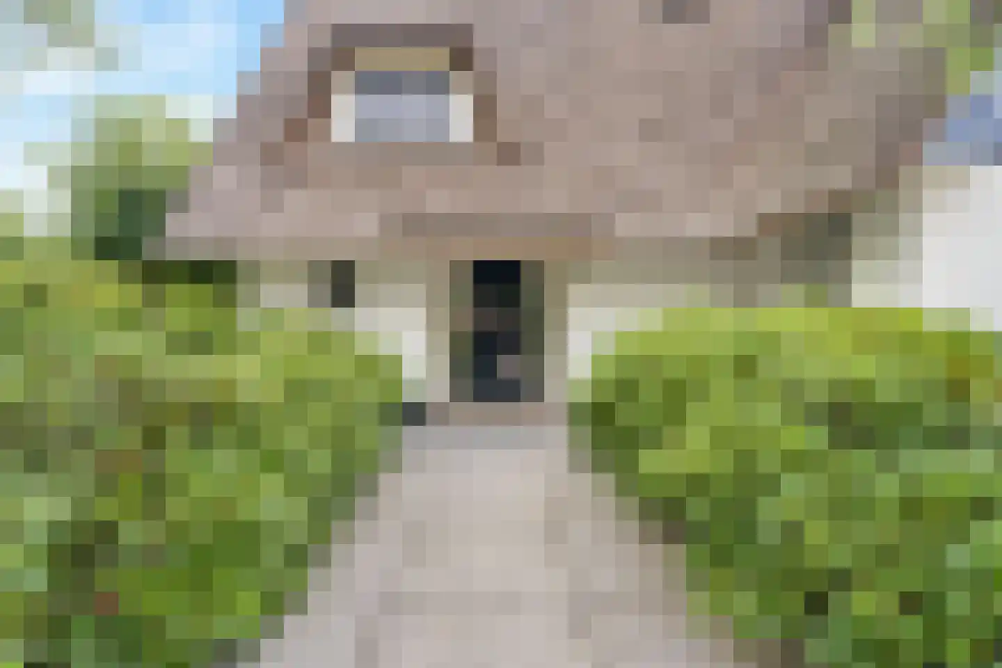 Rijksweg 97 Terschuur thumbnail 15