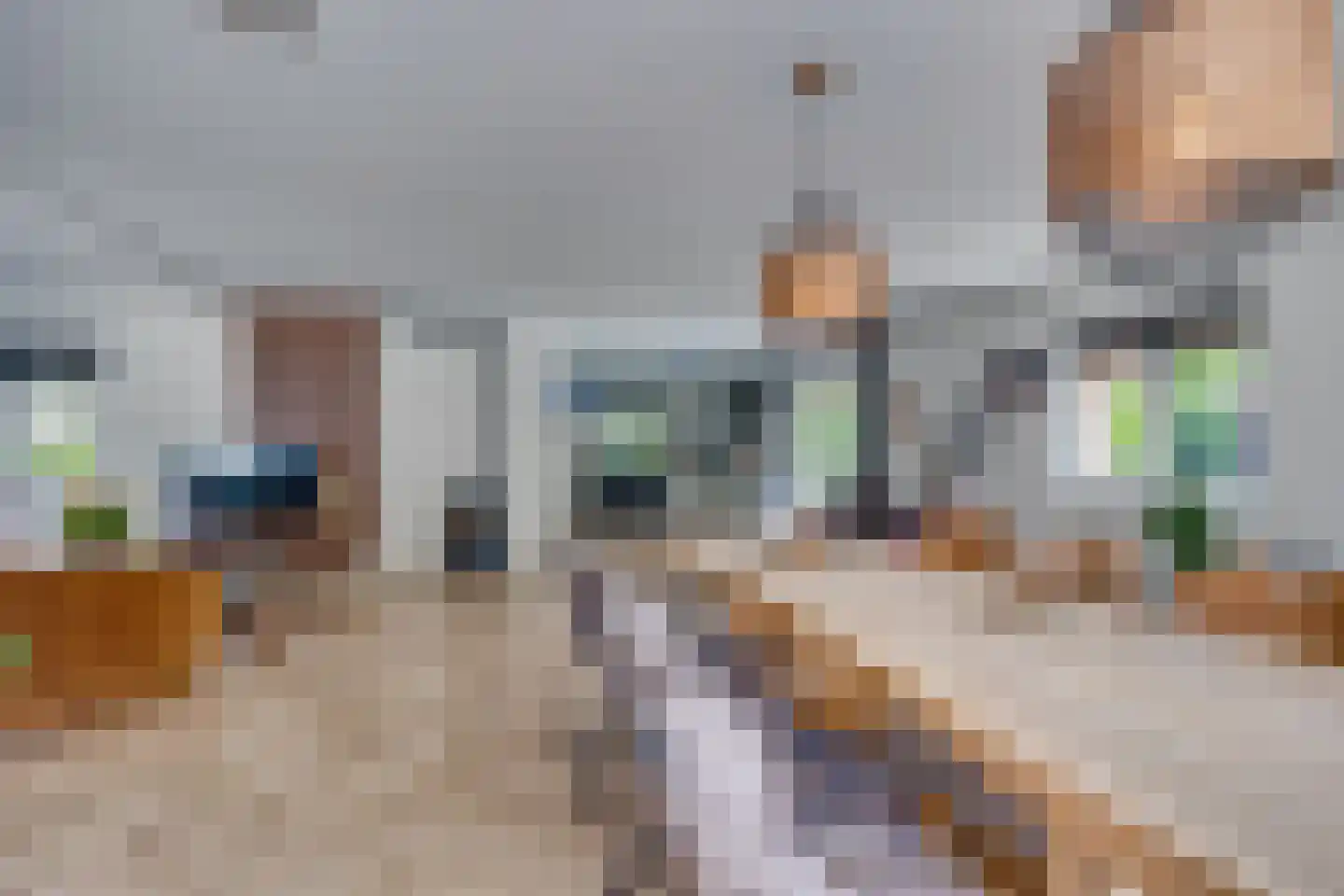 Rijksweg 97 Terschuur thumbnail 24
