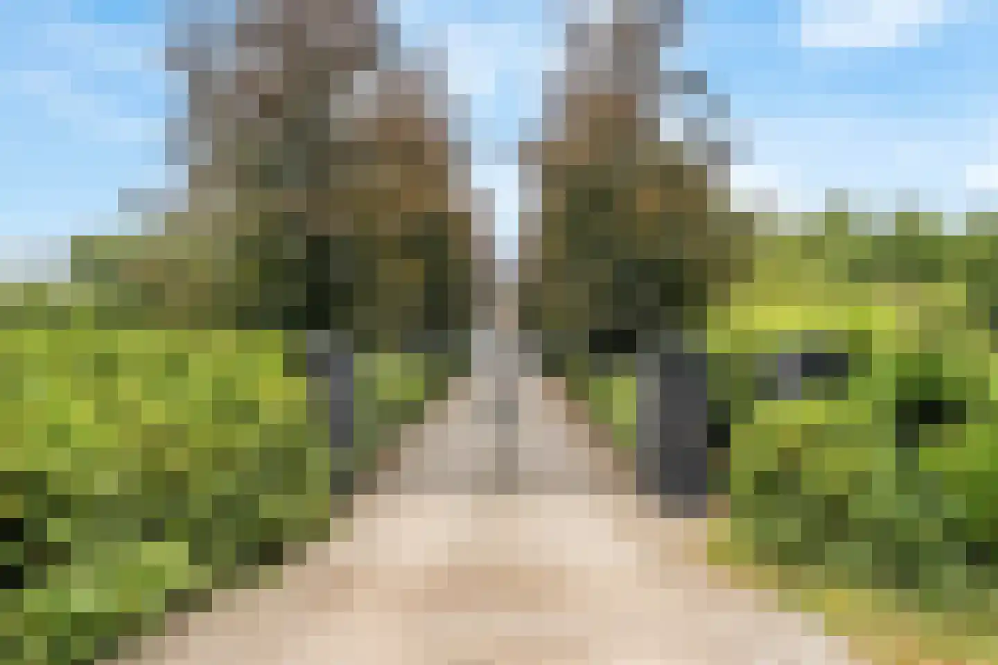 Rijksweg 97 Terschuur foto 3