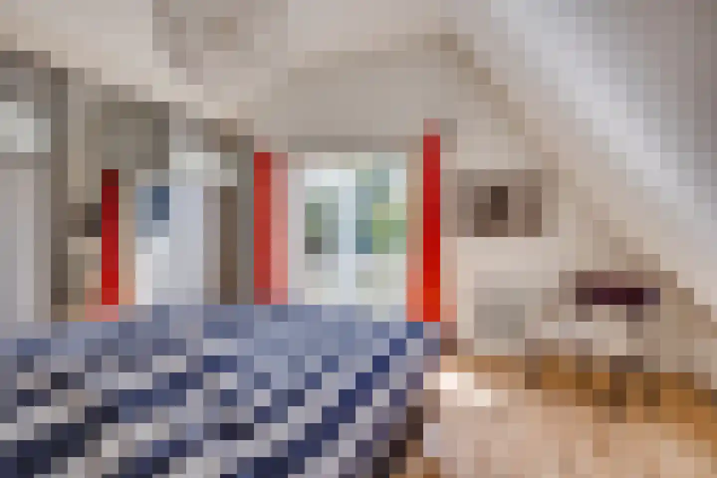 Rijksweg 97 Terschuur thumbnail 35