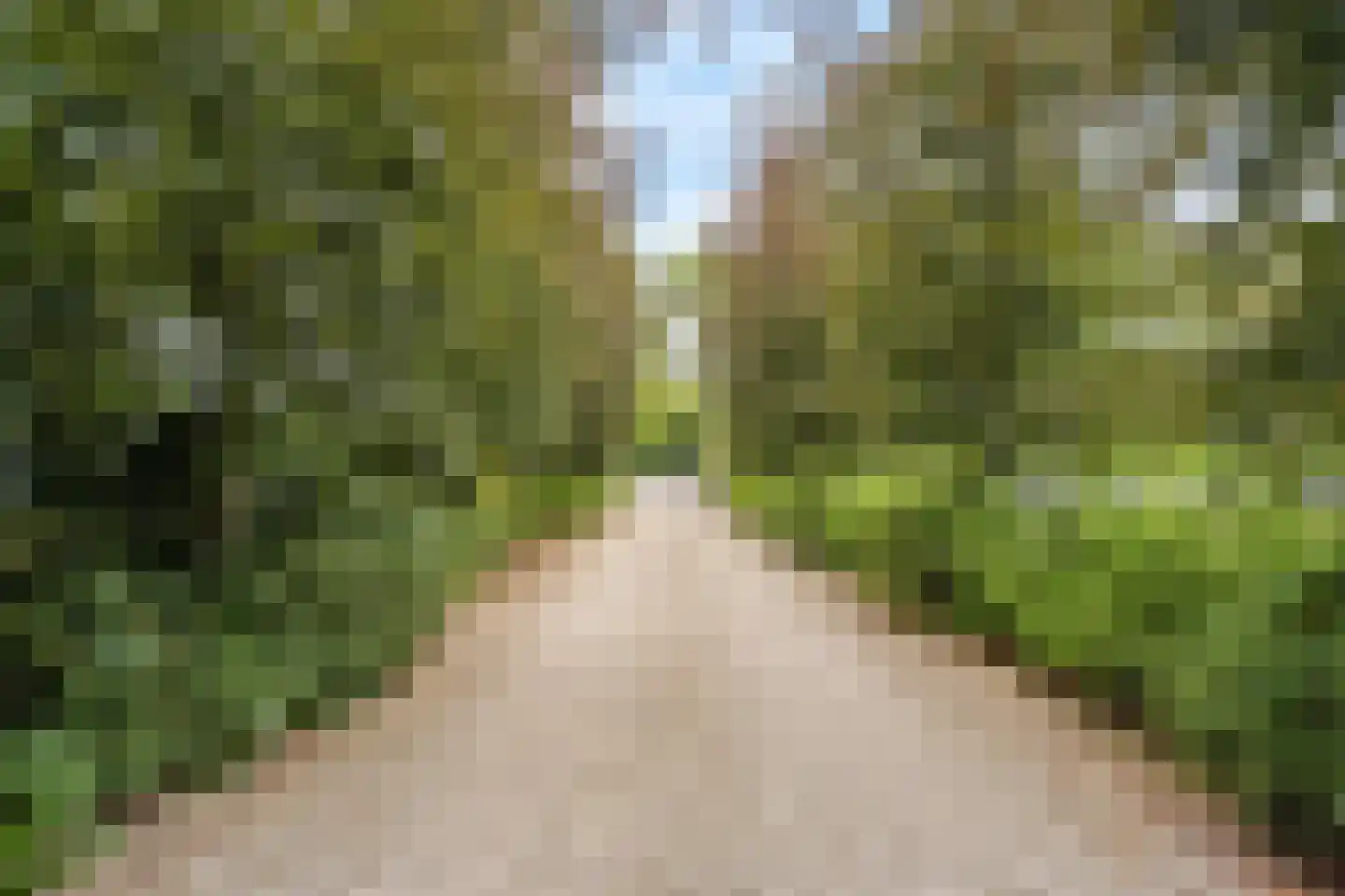 Rijksweg 97 Terschuur thumbnail 4