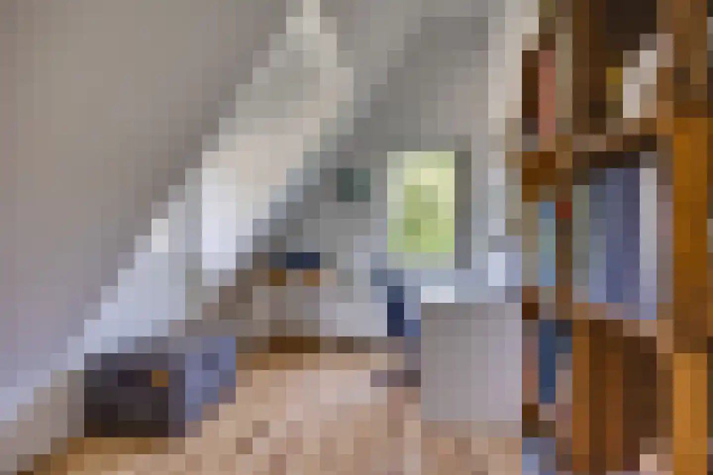 Rijksweg 97 Terschuur thumbnail 41