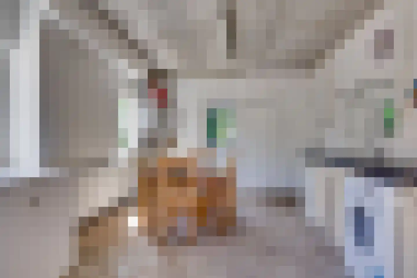 Rijksweg 97 Terschuur thumbnail 56