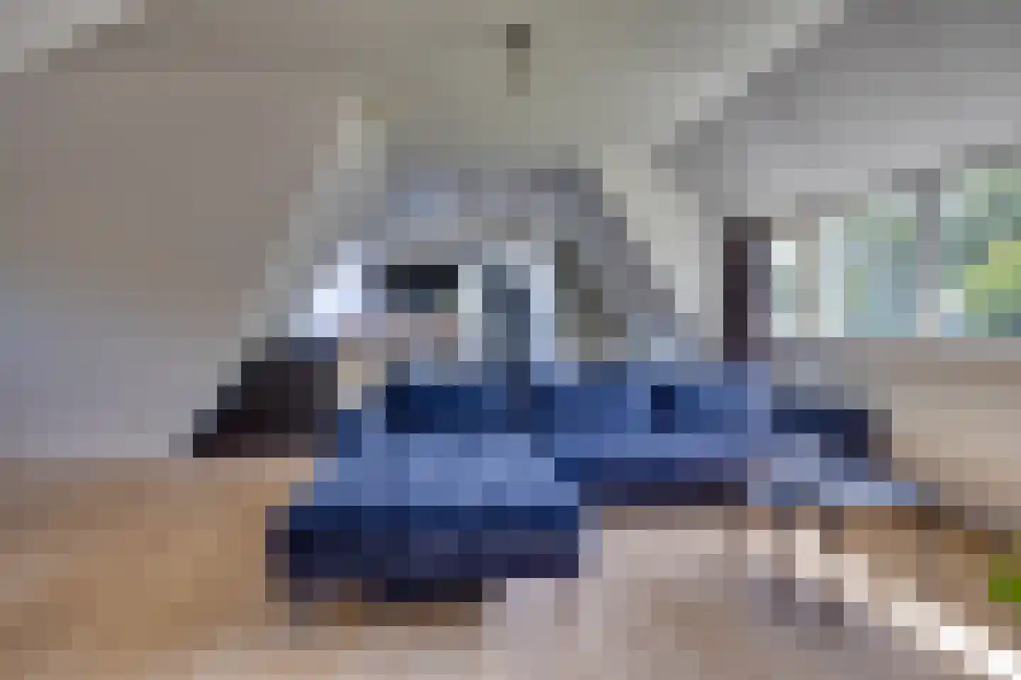 Rijksweg 97 Terschuur thumbnail 57