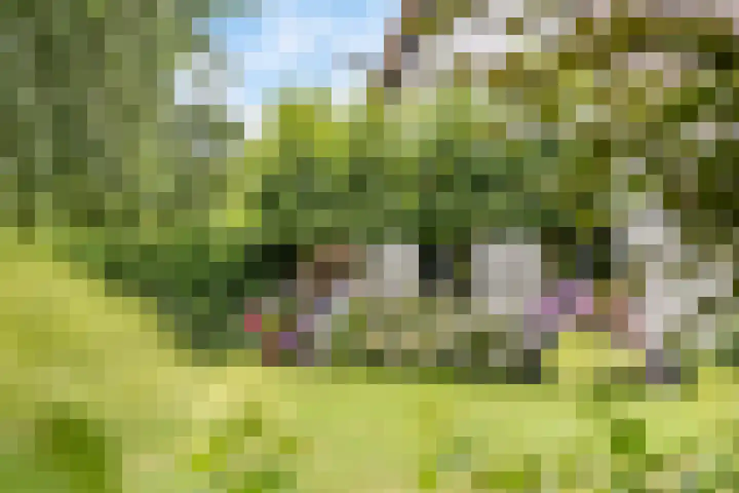 Rijksweg 97 Terschuur thumbnail 7