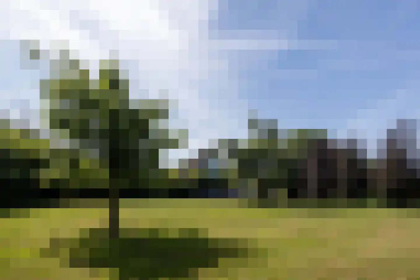 Rijksweg 97 Terschuur thumbnail 9